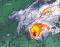 1415UTC