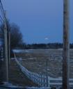Moon rising above the treeline